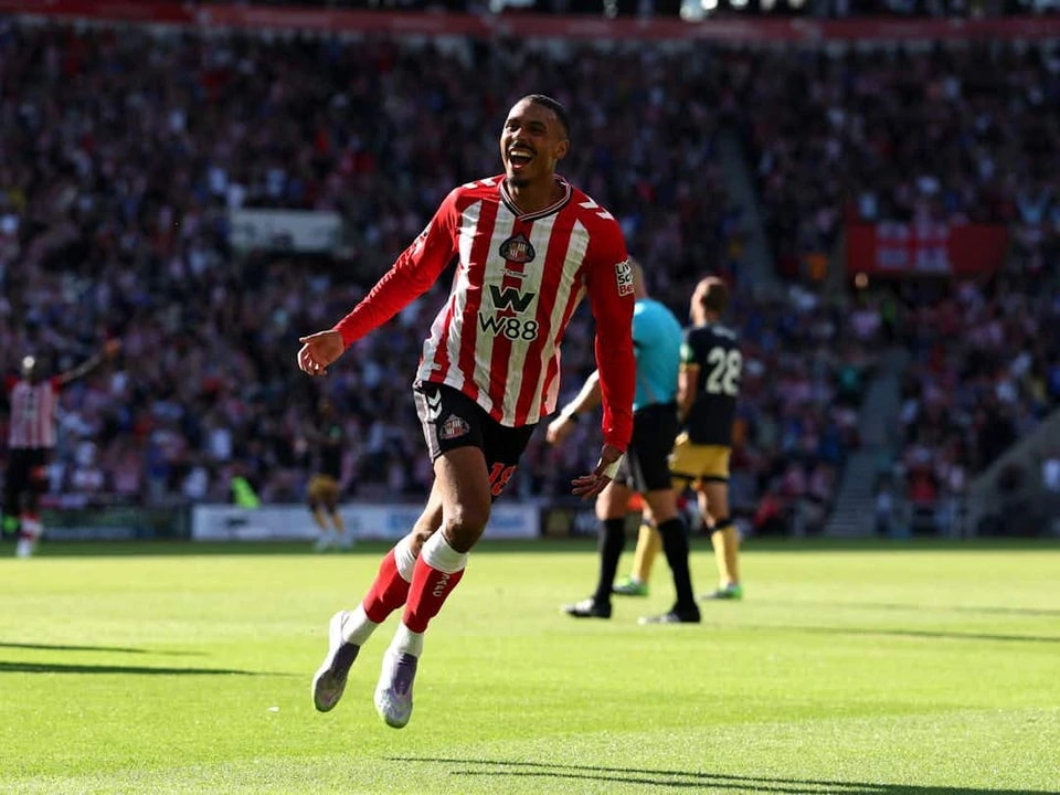 这位葡萄牙, 的投资 这位葡萄牙, 的投资