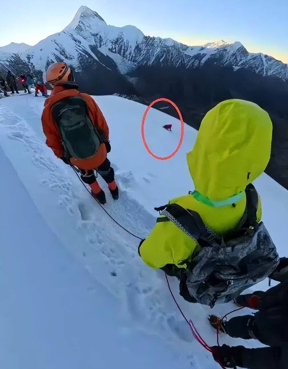 任君挑选, 信息整理 任君挑选, 信息整理